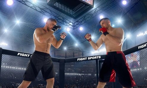 MMA buiten de kooi: inzicht in gevechten, strategie en fanbeleving