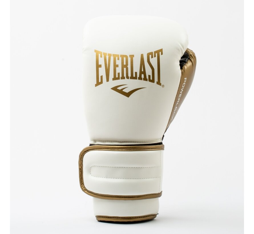 Everlast (kick)bokshandschoenen Powerlock 2R