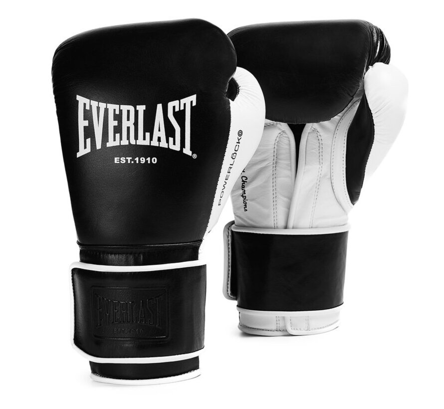 Everlast Powerlock Pro OG H&L (kick)boxing Glove