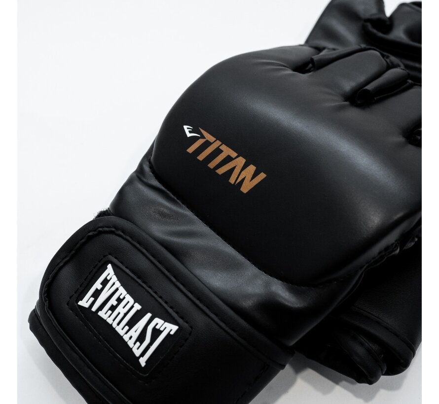 Everlast Titan MMA handschoenen