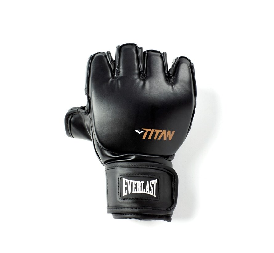 Everlast Titan MMA handschoenen