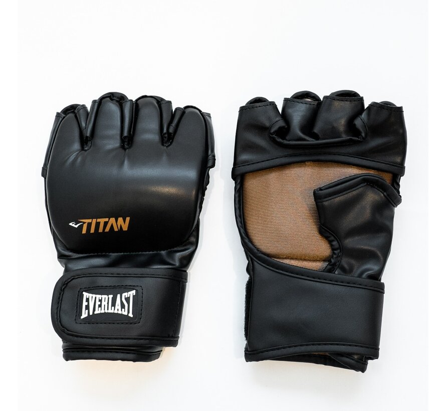 Everlast Titan MMA handschoenen