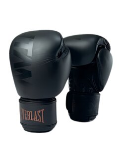 Everlast Everlast Titan Muay Thai Handschoenen | Zwart | 12-oz