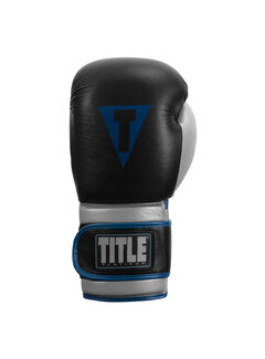 Title Title Bokshandschoenen Platinum Perilous Training