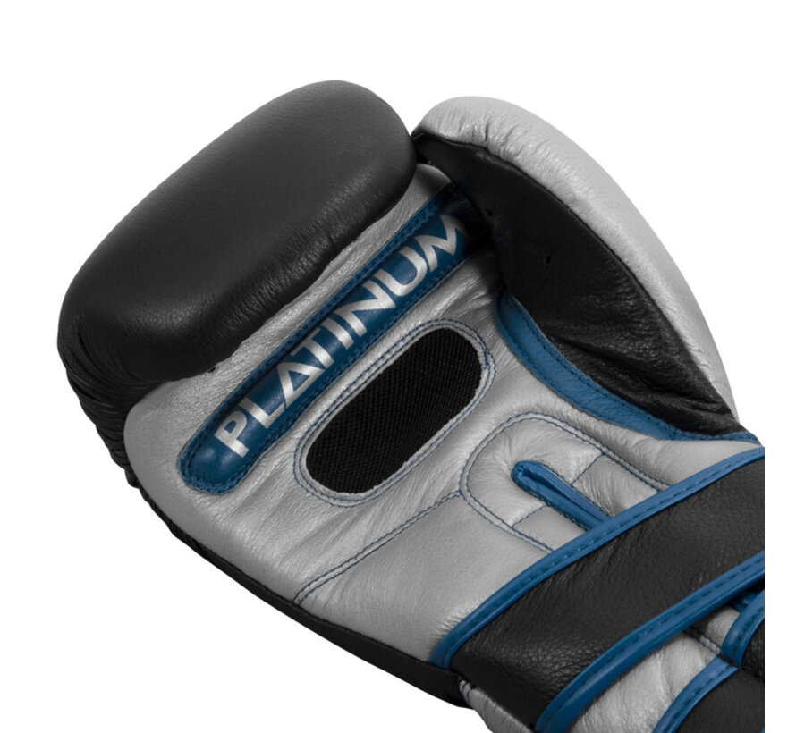 Title Bokshandschoenen Platinum Perilous Training