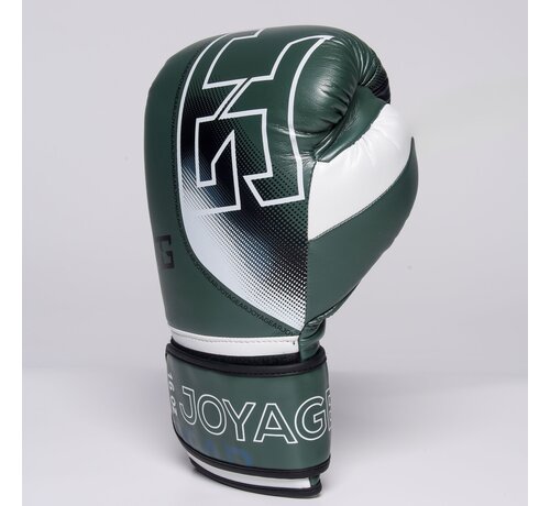 Joya The Joyagear  Evolution Pro  Kickbokshandschoenen - Groen/Wit