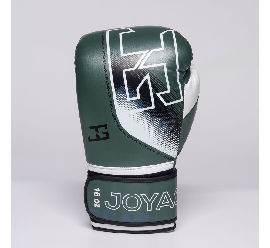 The Joyagear  Evolution Pro  Kickbokshandschoenen - Groen/Wit