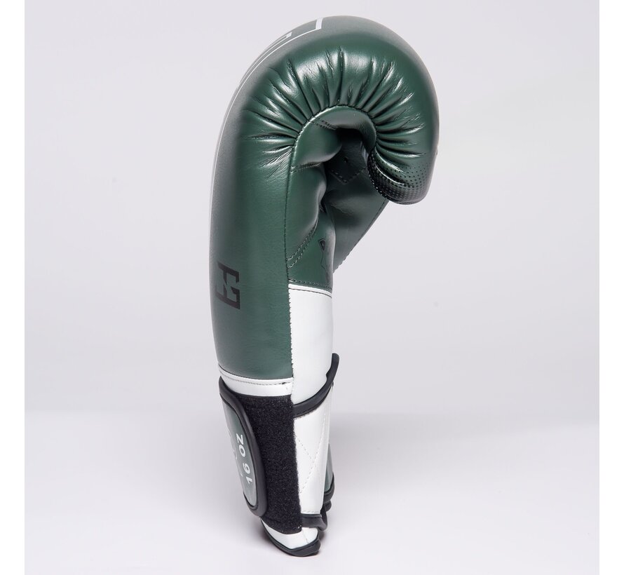 The Joyagear  Evolution Pro  Kickbokshandschoenen - Groen/Wit