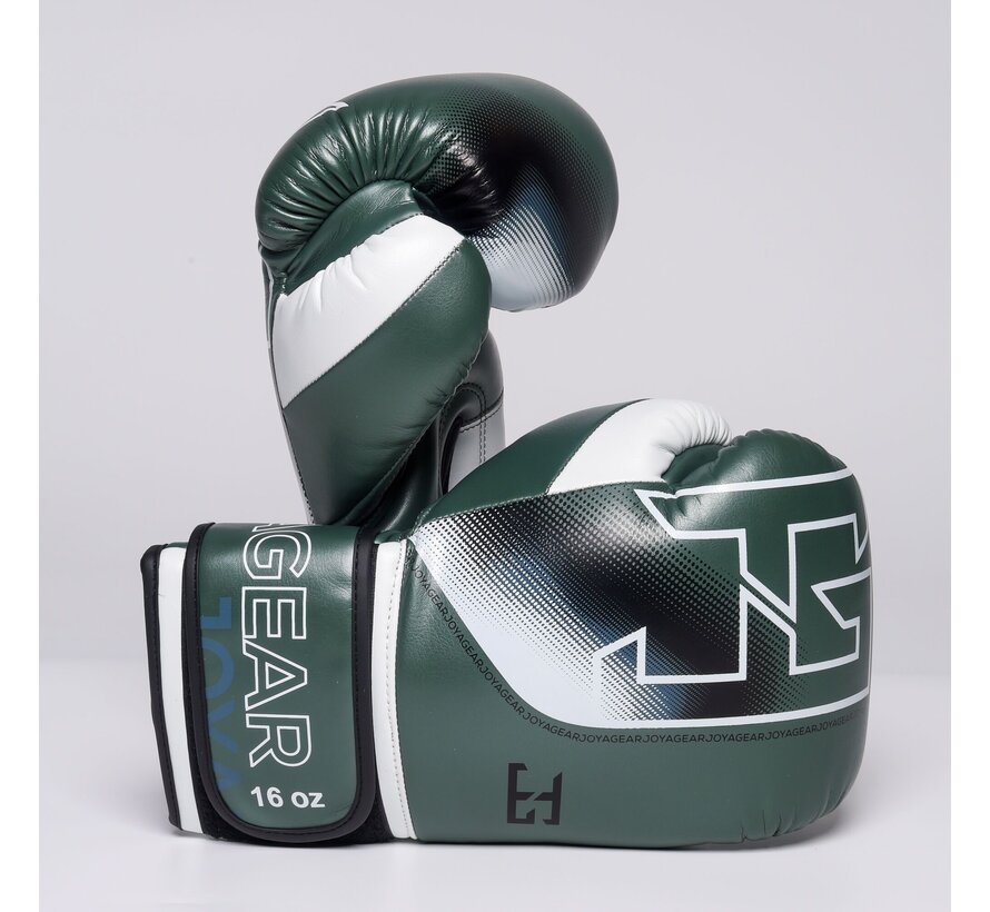 The Joyagear  Evolution Pro  Kickbokshandschoenen - Groen/Wit