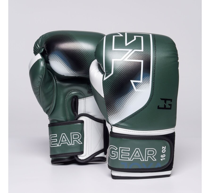 The Joyagear  Evolution Pro  Kickbokshandschoenen - Groen/Wit