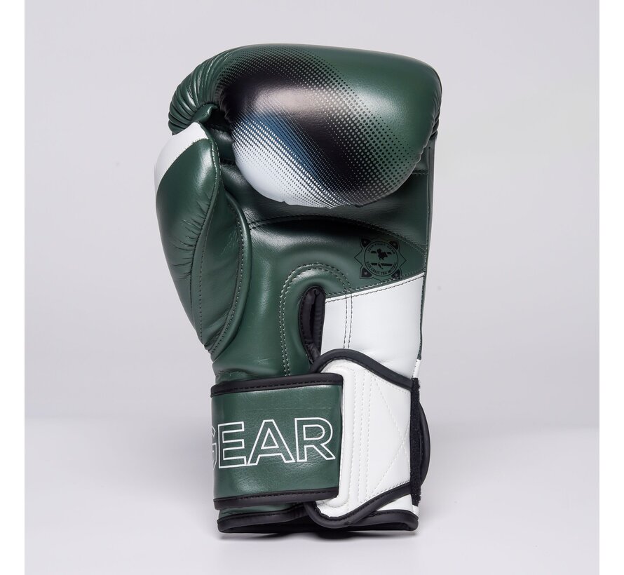 The Joyagear  Evolution Pro  Kickbokshandschoenen - Groen/Wit