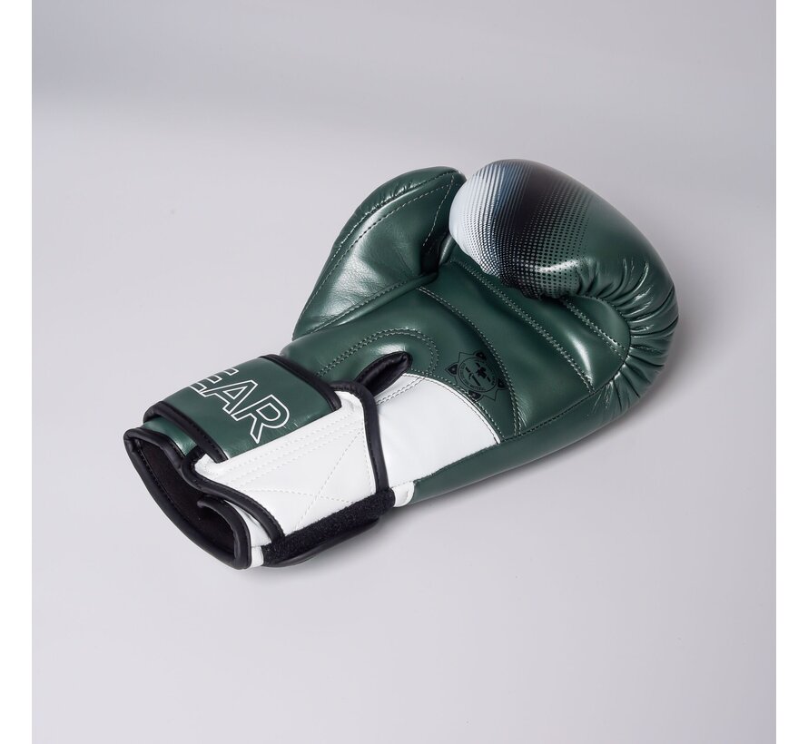 The Joyagear  Evolution Pro  Kickbokshandschoenen - Groen/Wit