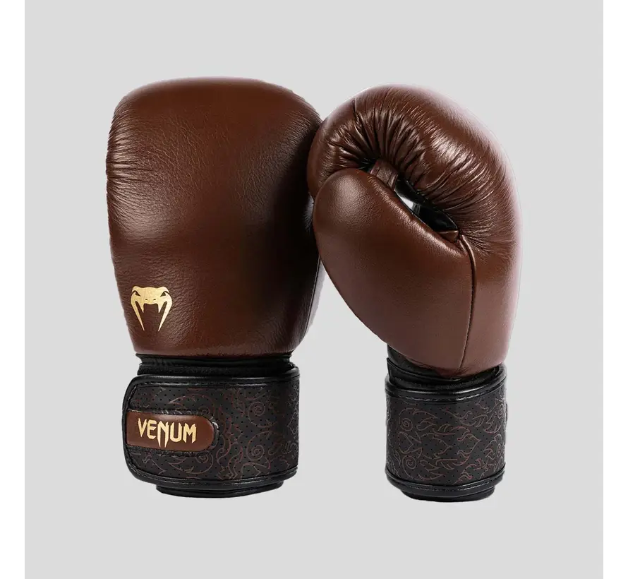 Venum Power 2.0 bokshandschoenen bruin
