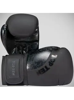 Top Ten Top Ten Dragon bokshandschoenen Zwart/Zwart