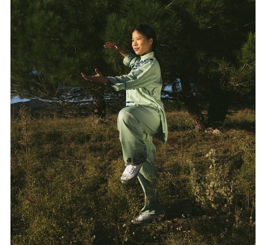 Qïng Porcelain SS Tai Chi pak