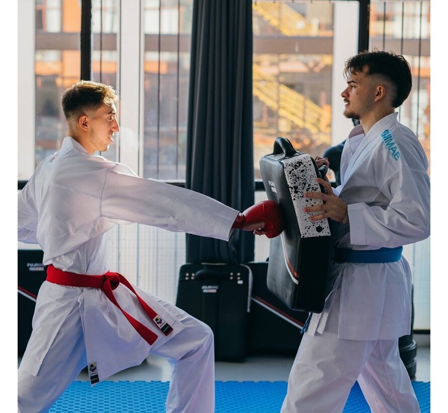ProSeries 2.0 Low Kick Shield
