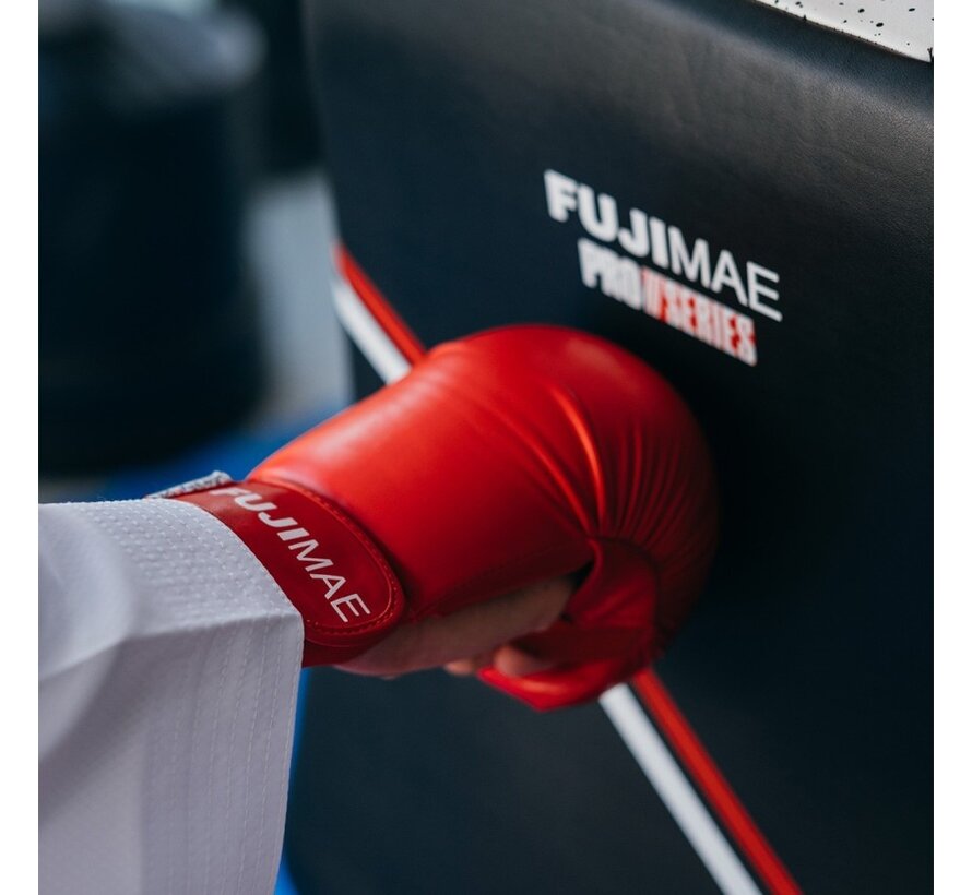 ProSeries 2.0 Low Kick Shield