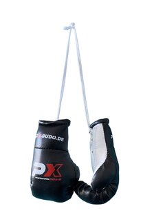 Phoenix Mini Bokshandschoenen met PX Logo om op te Hangen