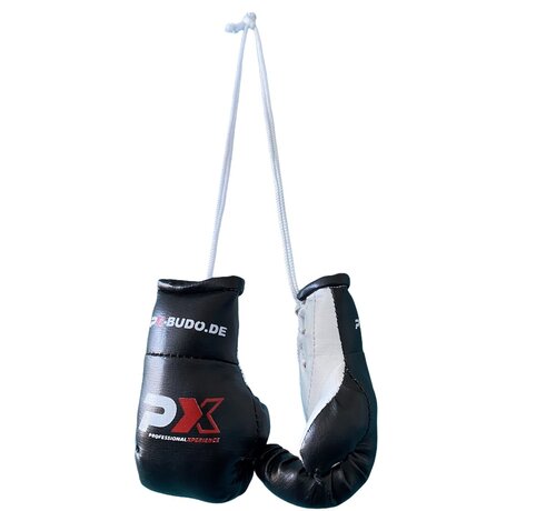 Phoenix Mini Bokshandschoenen met PX Logo om op te Hangen