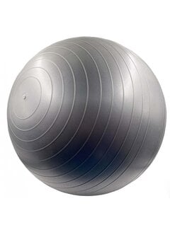 Best Fightshop Gym Training Ball 55 cm, grijs