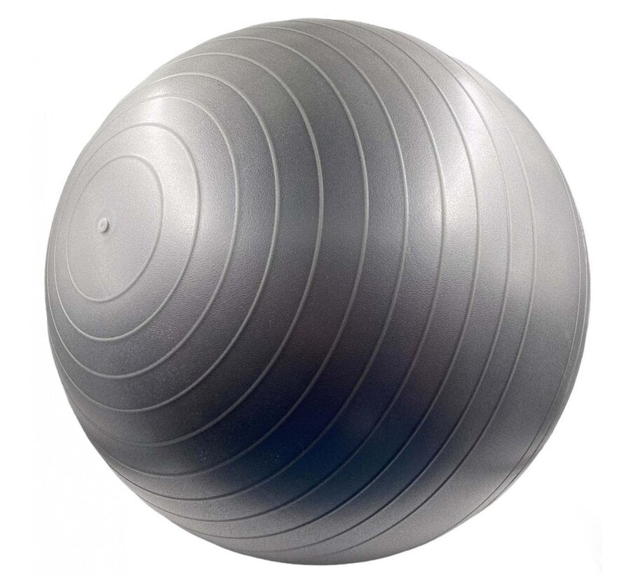 Gym Training Ball 55 cm, grijs