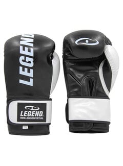 Legend Sports Bokshandschoenen Legend Impact Protect zwart/wit