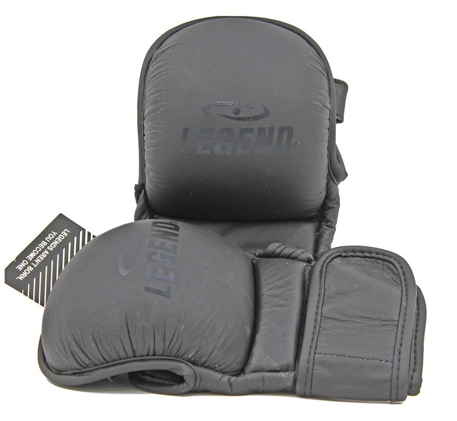 Legend Bokszak en MMA Handschoenen - LegendPadding Stealth