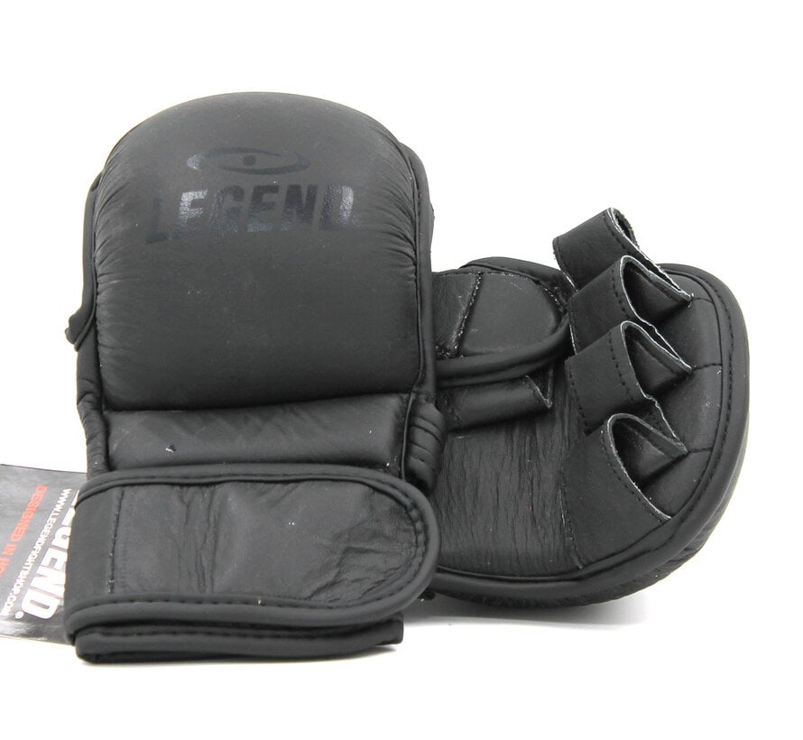 Legend Bokszak en MMA Handschoenen - LegendPadding Stealth