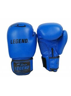 Legend Legend Bokshandschoenen voor Kinderen 6oz - Blauw