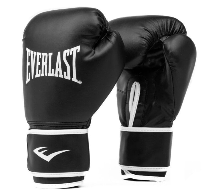 Everlast Core Heavy bag kit