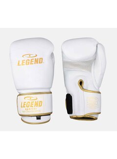 Legend Legend Sports Bokshandschoenen Legend STEALTH Elite heren/dames white gold Leer