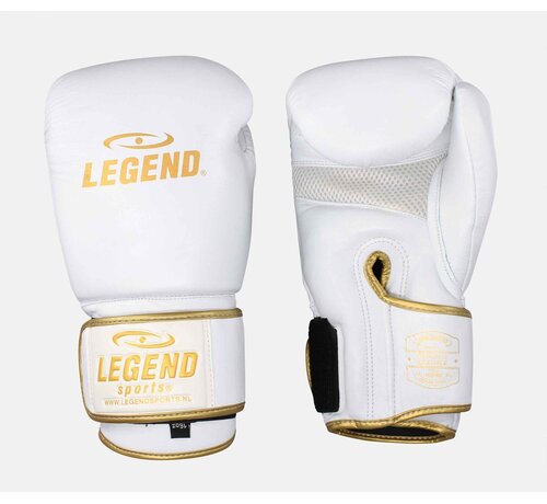 Legend Legend Sports Bokshandschoenen Legend STEALTH Elite heren/dames white gold Leer