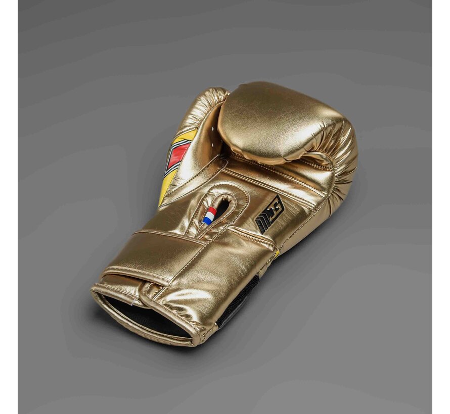 Joyagear X Poatan Boxing Gloves Champion