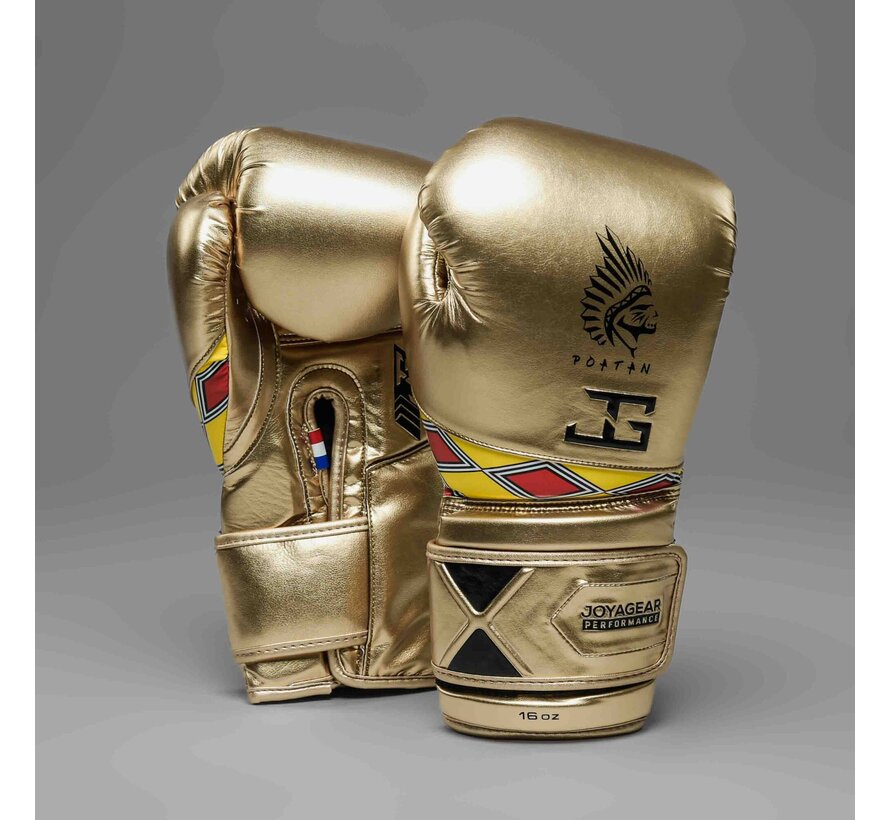 Joyagear X Poatan Boxing Gloves Champion