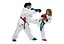 ITF Taekwon-Do pakken