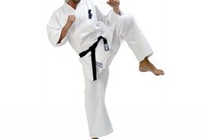 Kyokushinkai karate winkel Best Fightshop!