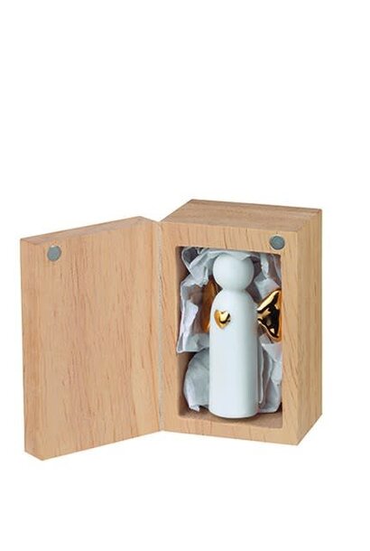 Lucky box Angel to Go