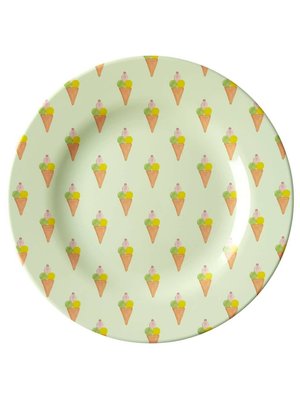 Rice Melamine lunch plate Ice Cream