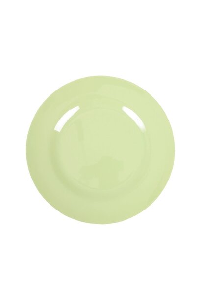 Melamine lunch plate Mint