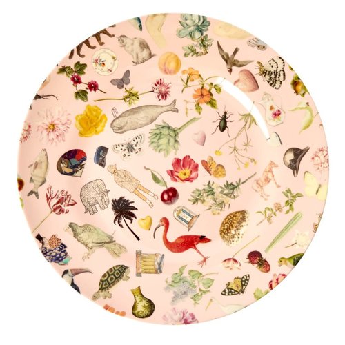 Rice Melamine diner bord Art Pink Rice Melamine diner bord Art Pink