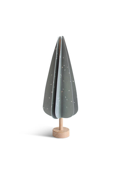 Cypress tree grey