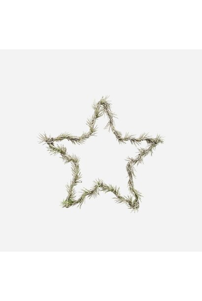 Wreath Star Nature