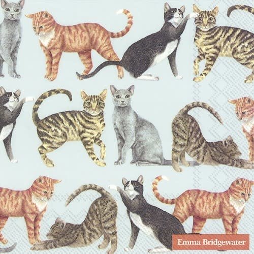 Lunch Napkin Cats light blue Lunch Napkin Cats light blue