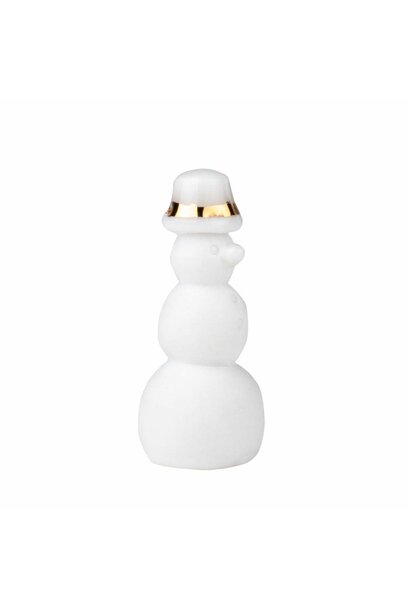Pocket companion Winter time/Sneeuwpop