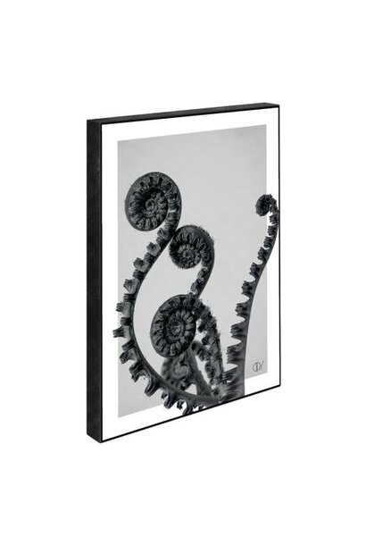 Blöcke 15x21 Dry Fern