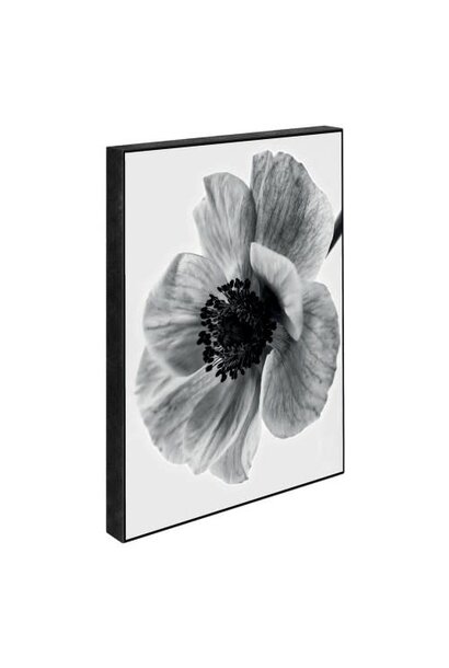 Blöcke 15x21 Secret Garden Poppy