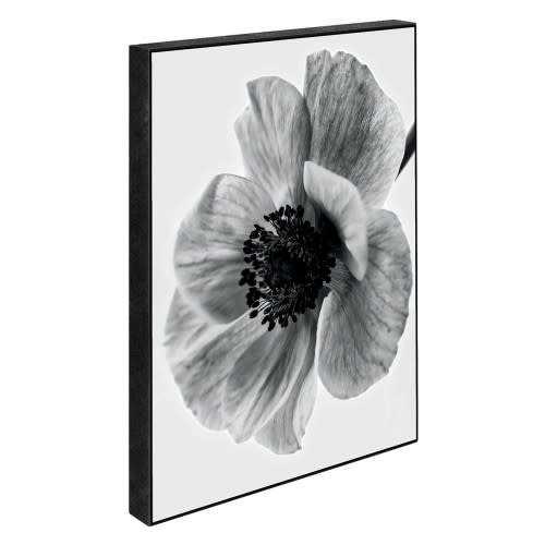 Incado Blöcke 15x21 Secret Garden Poppy