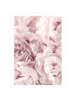 Incado Plakat 50x70 Wandkunst Peony