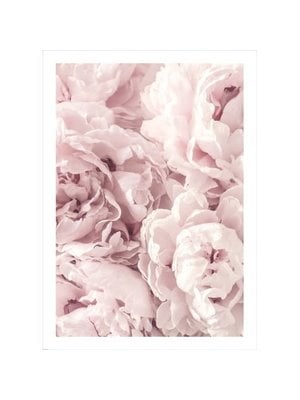 Incado Poster 50x70 Wall Art Peony