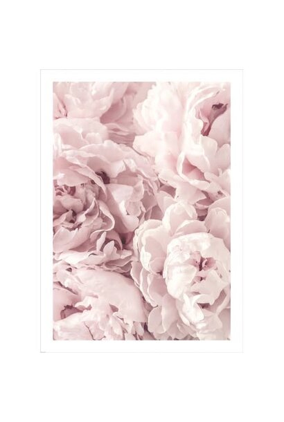 Poster 50x70 Wall Art Peony